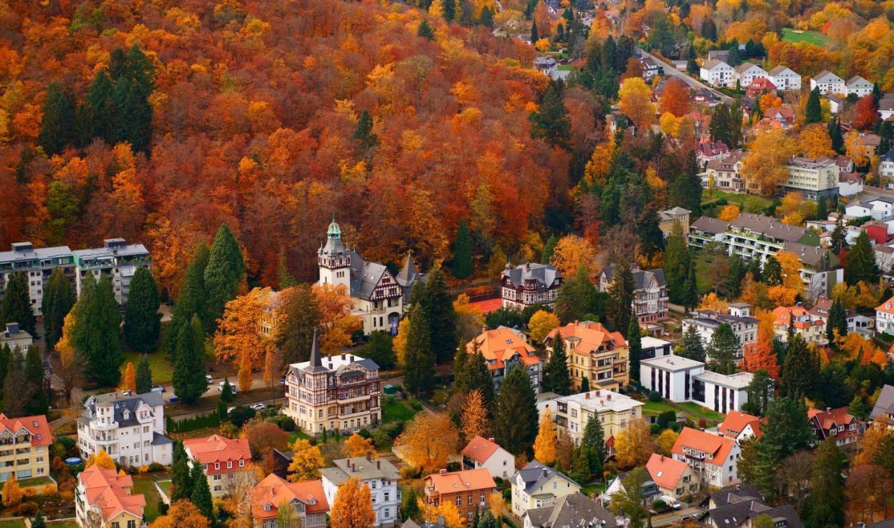 Fewo Harzgipfel Mit Dampfdusche Daire Bad Harzburg Dış mekan fotoğraf