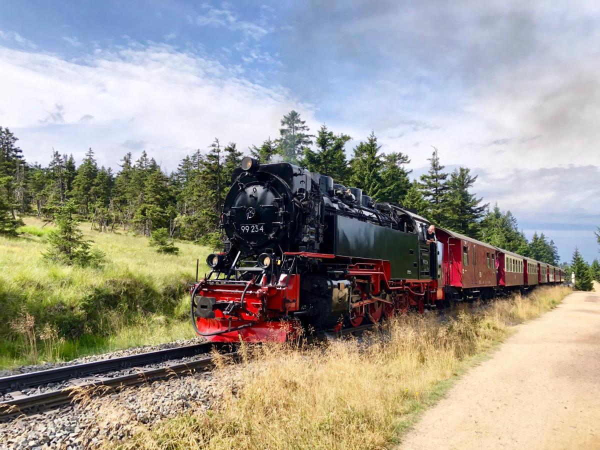 Fewo Harzgipfel Mit Dampfdusche Daire Bad Harzburg Dış mekan fotoğraf